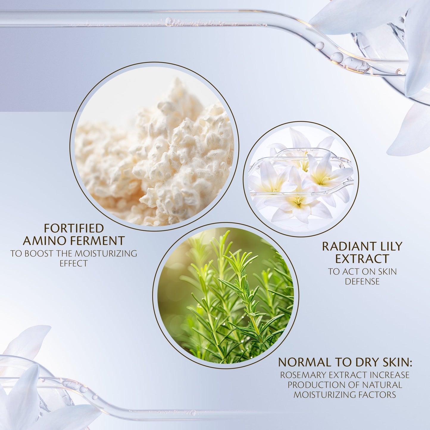 Hydro-Softening Essence Lotion